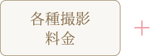 各種撮影料金